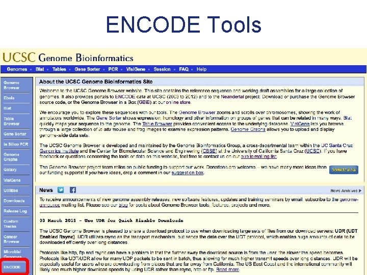 ENCODE Tools 