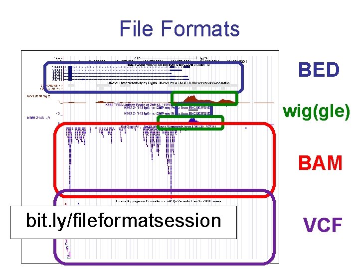 File Formats BED wig(gle) BAM bit. ly/fileformatsession VCF 