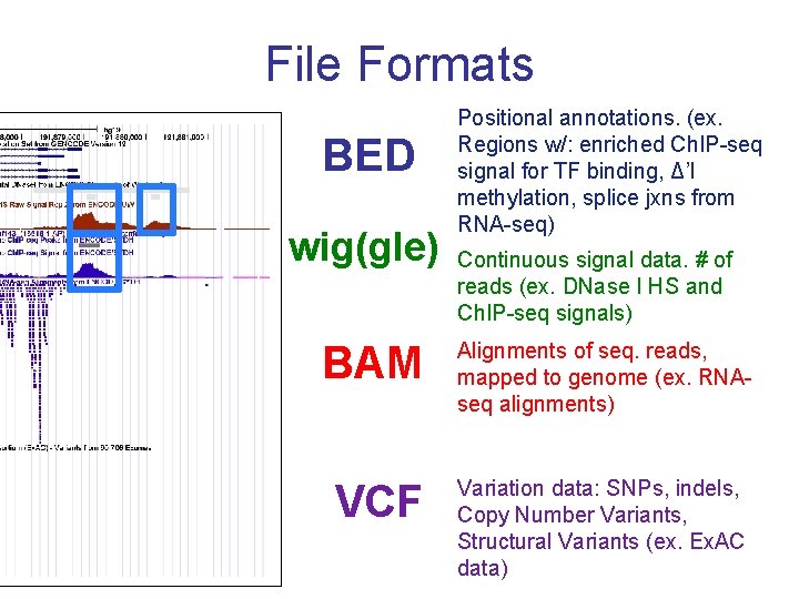 File Formats BED wig(gle) Positional annotations. (ex. Regions w/: enriched Ch. IP-seq signal for