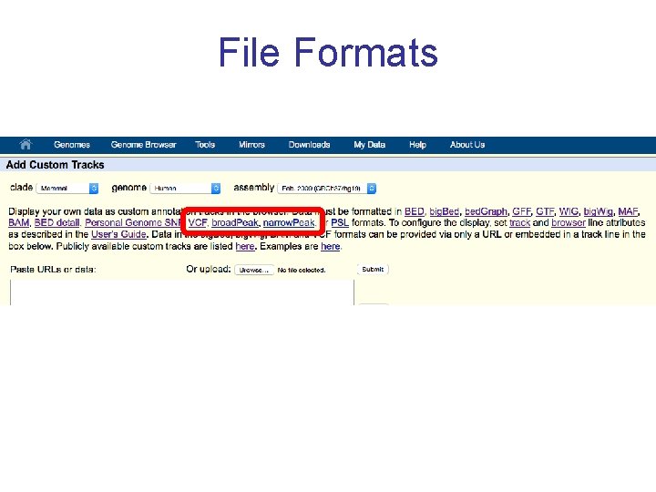 File Formats 