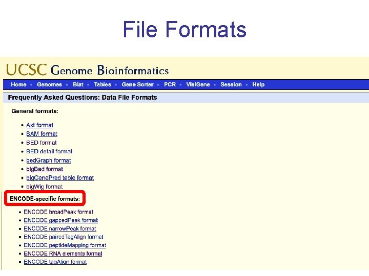 File Formats 