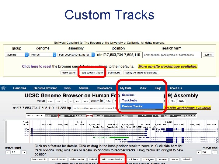 Custom Tracks 