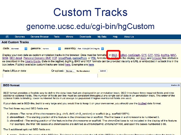 Custom Tracks genome. ucsc. edu/cgi-bin/hg. Custom 