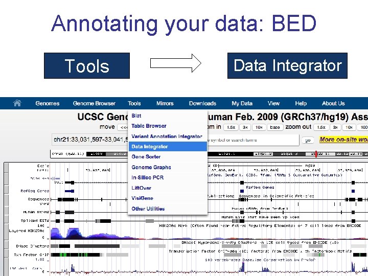 Annotating your data: BED Tools Data Integrator 