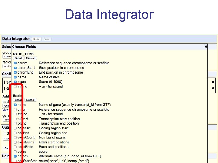Data Integrator 