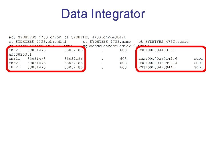 Data Integrator 
