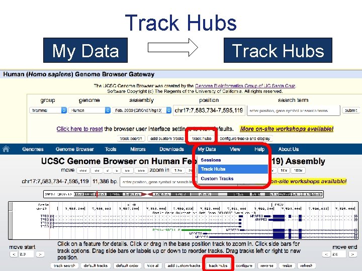 Track Hubs My Data Track Hubs 