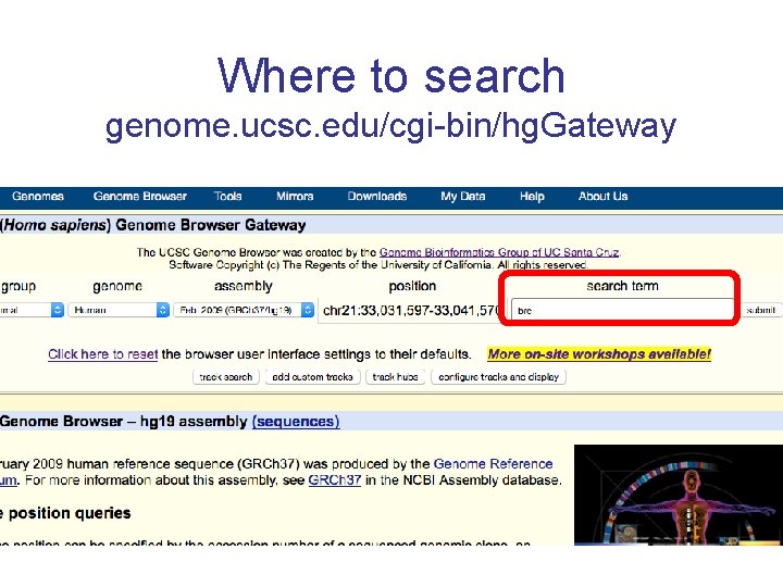 Where to search genome. ucsc. edu/cgi-bin/hg. Gateway 