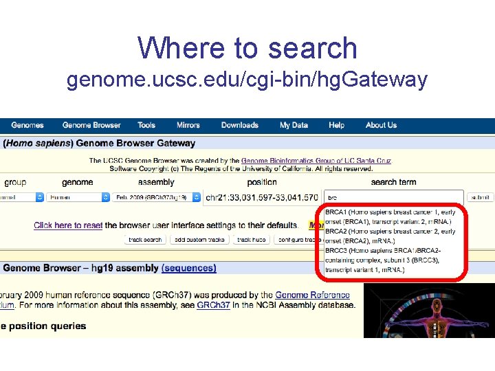 Where to search genome. ucsc. edu/cgi-bin/hg. Gateway 