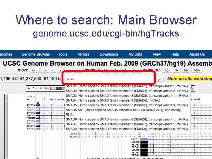 Where to search: Main Browser genome. ucsc. edu/cgi-bin/hg. Tracks 