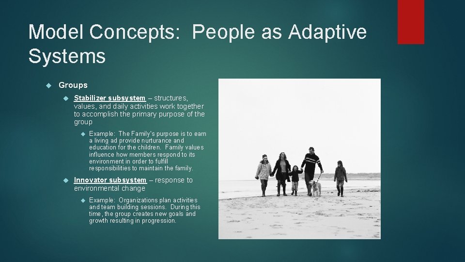 Model Concepts: People as Adaptive Systems Groups Stabilizer subsystem – structures, values, and daily Model Concepts: People as Adaptive Systems Groups Stabilizer subsystem – structures, values, and daily