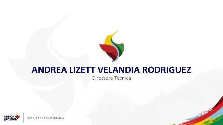 ANDREA LIZETT VELANDIA RODRIGUEZ Directora Técnica Rendición de cuentas 2017 