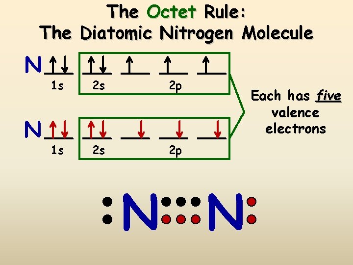 The Octet Rule: The Diatomic Nitrogen Molecule N N 1 s 2 s 2