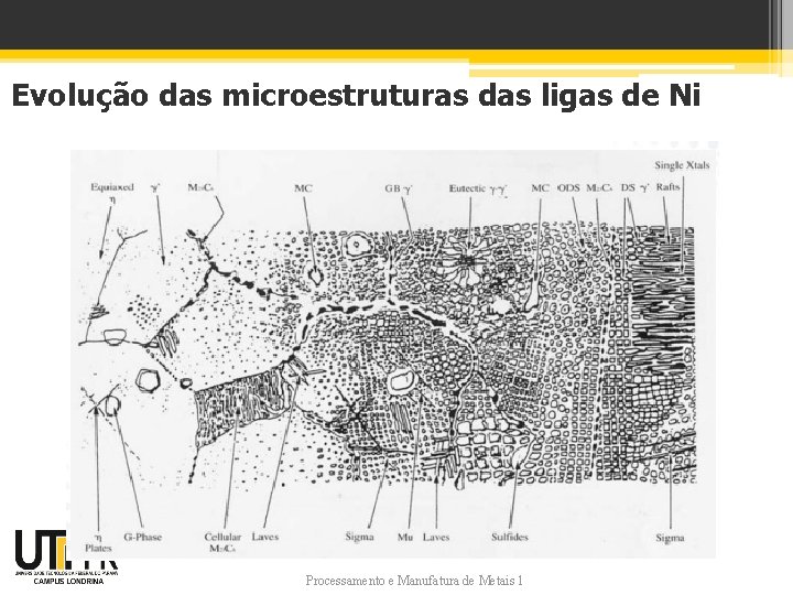 Evolução das microestruturas das ligas de Ni Processamento e Manufatura de Metais 1 