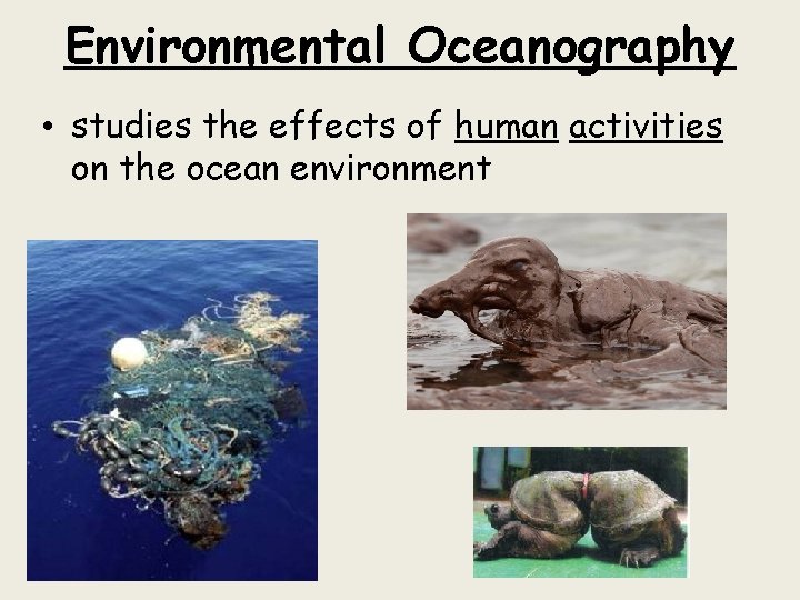 Environmental Oceanography • studies the effects of human activities on the ocean environment 