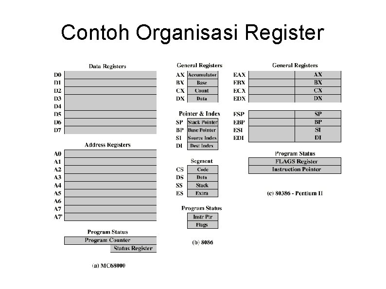 Contoh Organisasi Register 