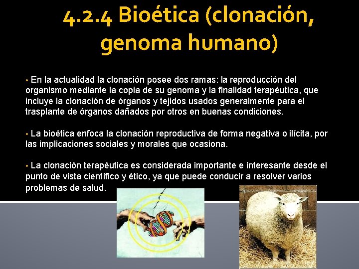 4. 2. 4 Bioética (clonación, genoma humano) En la actualidad la clonación posee dos