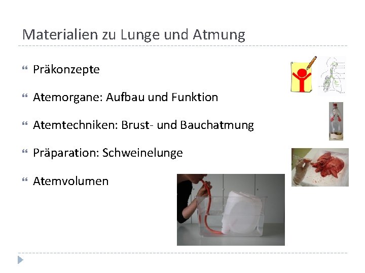 Materialien zu Lunge und Atmung Präkonzepte Atemorgane: Aufbau und Funktion Atemtechniken: Brust- und Bauchatmung Materialien zu Lunge und Atmung Präkonzepte Atemorgane: Aufbau und Funktion Atemtechniken: Brust- und Bauchatmung