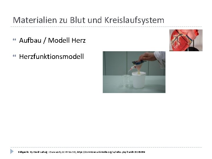 Materialien zu Blut und Kreislaufsystem Aufbau / Modell Herzfunktionsmodell Bildquelle: By David Ludwig -