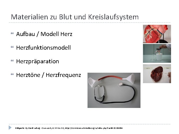 Materialien zu Blut und Kreislaufsystem Aufbau / Modell Herzfunktionsmodell Herzpräparation Herztöne / Herzfrequenz Bildquelle: