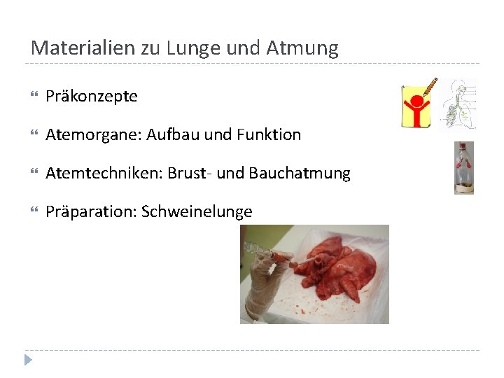 Materialien zu Lunge und Atmung Präkonzepte Atemorgane: Aufbau und Funktion Atemtechniken: Brust- und Bauchatmung