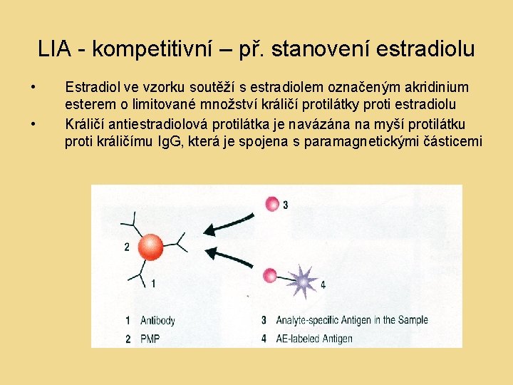 LIA - kompetitivní – př. stanovení estradiolu • • Estradiol ve vzorku soutěží s