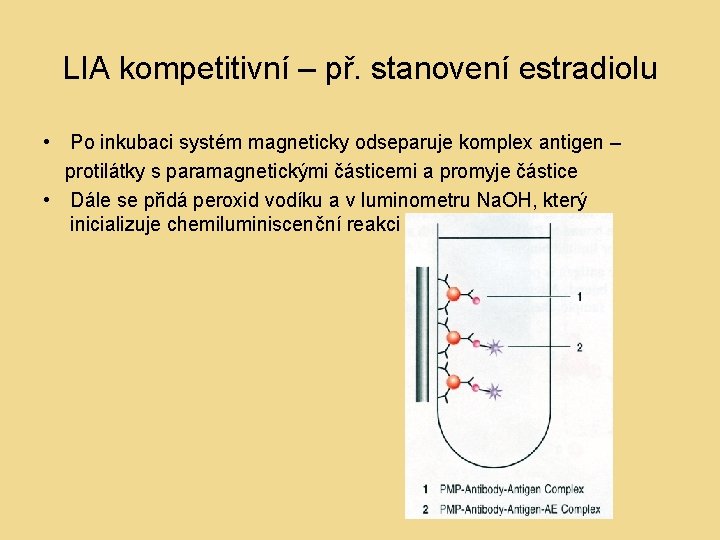 LIA kompetitivní – př. stanovení estradiolu • Po inkubaci systém magneticky odseparuje komplex antigen