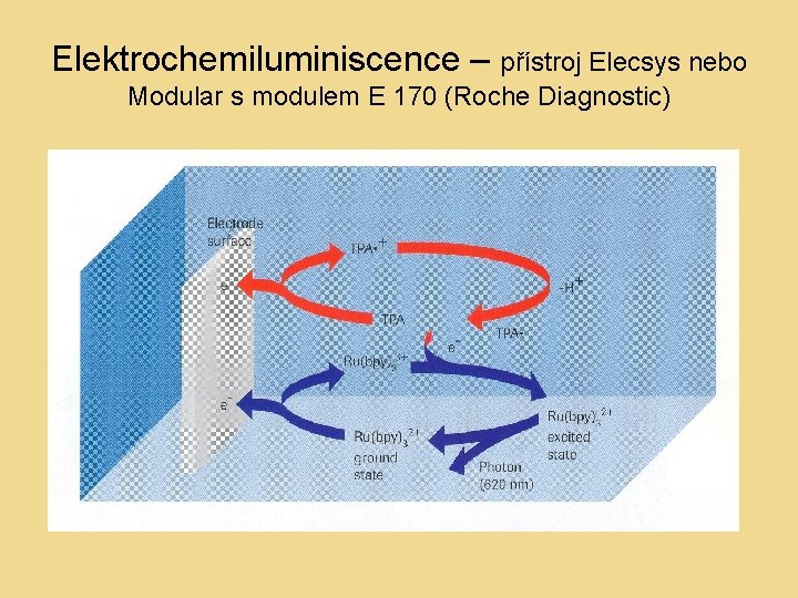 Elektrochemiluminiscence – přístroj Elecsys nebo Modular s modulem E 170 (Roche Diagnostic) 