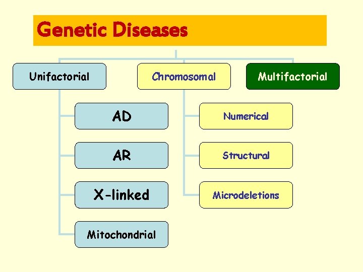 Genetic Diseases Unifactorial Chromosomal Multifactorial AD Numerical AR Structural X-linked Microdeletions Mitochondrial 