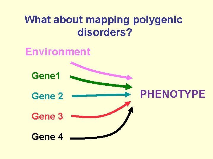 What about mapping polygenic disorders? Environment Gene 1 Gene 2 Gene 3 Gene 4