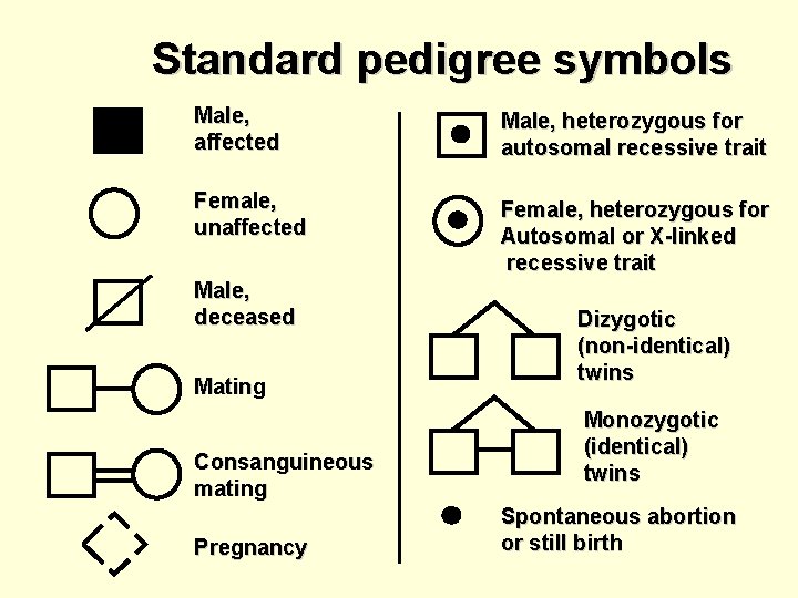 Standard pedigree symbols Male, affected Male, heterozygous for autosomal recessive trait Female, unaffected Female,