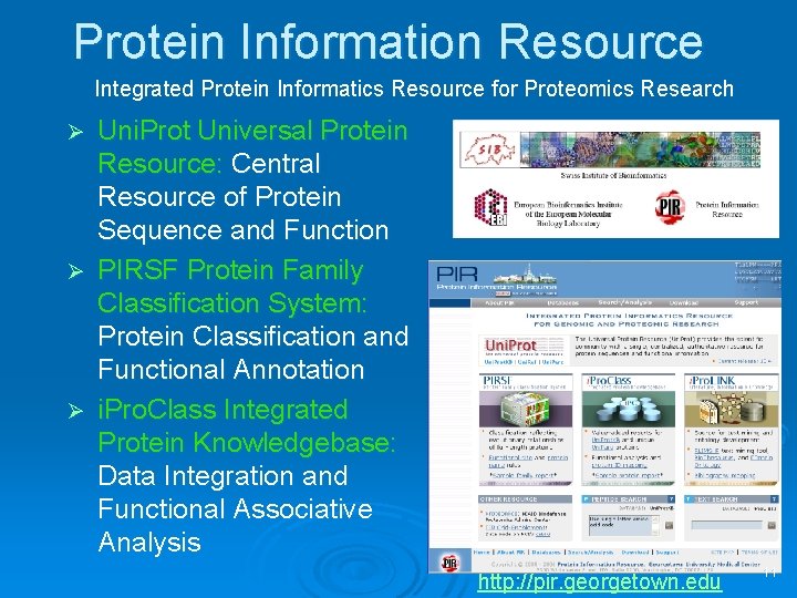 Protein Information Resource Integrated Protein Informatics Resource for Proteomics Research Uni. Prot Universal Protein