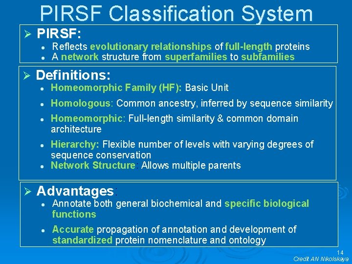 PIRSF Classification System Ø PIRSF: l l Ø Definitions: l Homeomorphic Family (HF): Basic