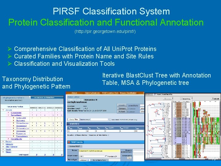 PIRSF Classification System Protein Classification and Functional Annotation (http: //pir. georgetown. edu/pirsf/) Ø Comprehensive