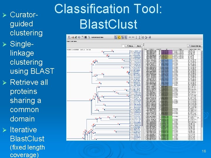 Classification Tool: Blast. Clust Curatorguided clustering Ø Singlelinkage clustering using BLAST Ø Retrieve all