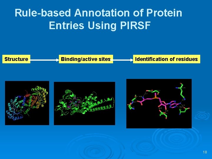 Rule-based Annotation of Protein Entries Using PIRSF Structure Binding/active sites Identification of residues 18