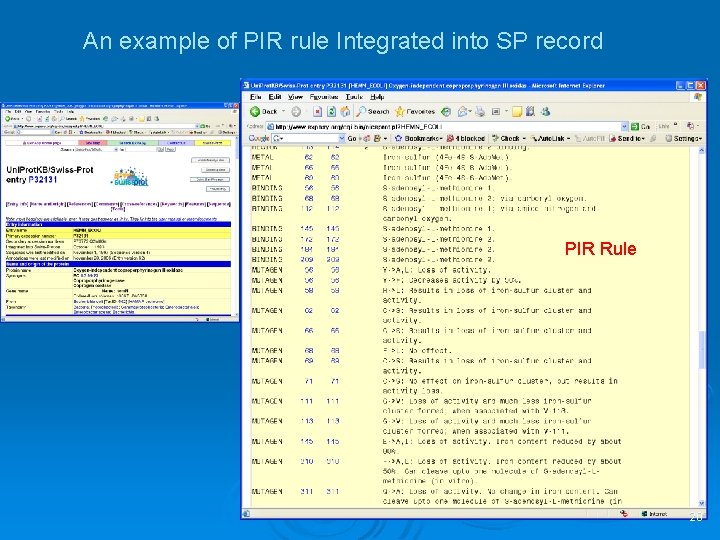 An example of PIR rule Integrated into SP record PIR Rule 20 