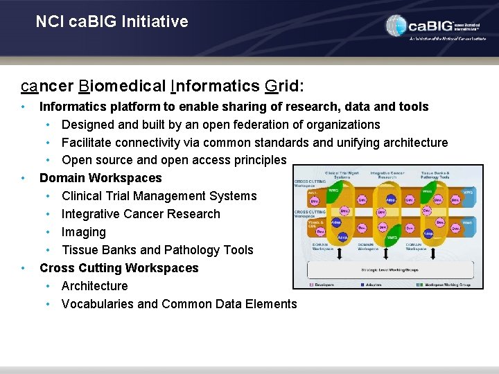 NCI ca. BIG Initiative cancer Biomedical Informatics Grid: • • • Informatics platform to