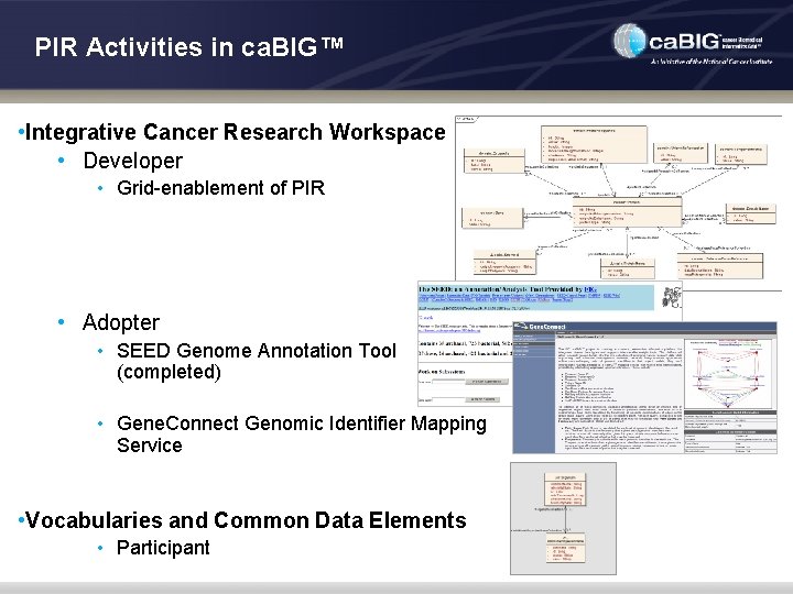 PIR Activities in ca. BIG™ • Integrative Cancer Research Workspace • Developer • Grid-enablement