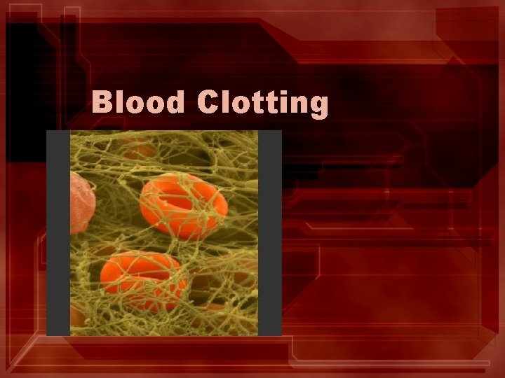 Blood Clotting Blood Clotting