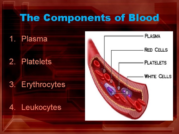 The Components of Blood 1. Plasma 2. Platelets 3. Erythrocytes 4. Leukocytes The Components of Blood 1. Plasma 2. Platelets 3. Erythrocytes 4. Leukocytes