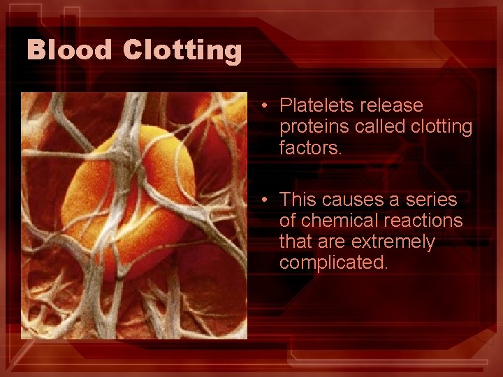 Blood Clotting • Platelets release proteins called clotting factors. • This causes a series