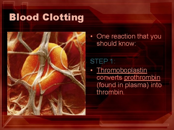 Blood Clotting • One reaction that you should know: STEP 1: • Thromoboplastin converts
