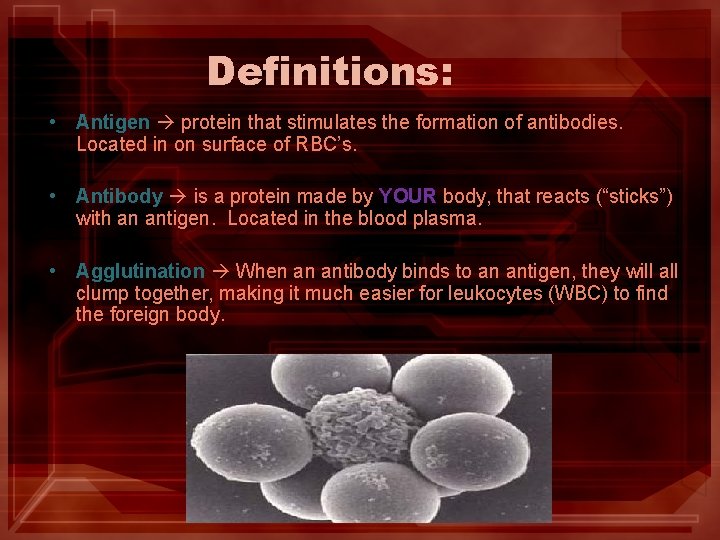 Definitions: • Antigen protein that stimulates the formation of antibodies. Located in on surface Definitions: • Antigen protein that stimulates the formation of antibodies. Located in on surface