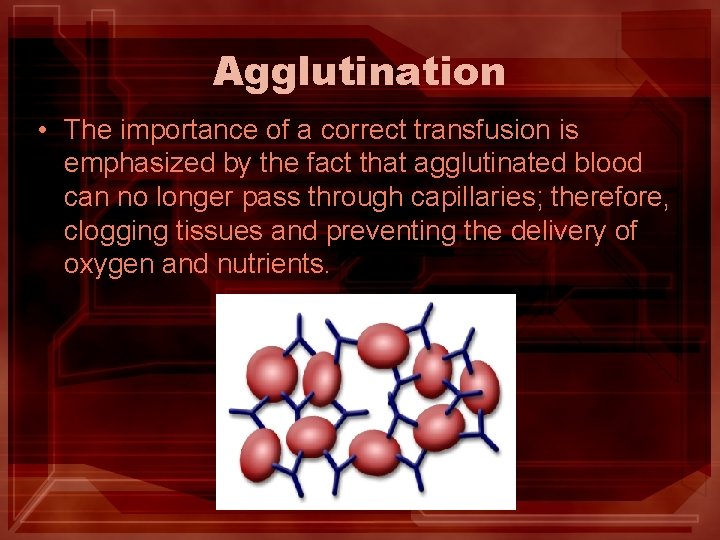 Agglutination • The importance of a correct transfusion is emphasized by the fact that