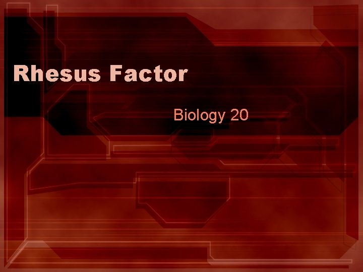 Rhesus Factor Biology 20 Rhesus Factor Biology 20