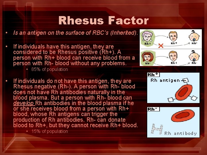 Rhesus Factor • Is an antigen on the surface of RBC’s (Inherited). • If