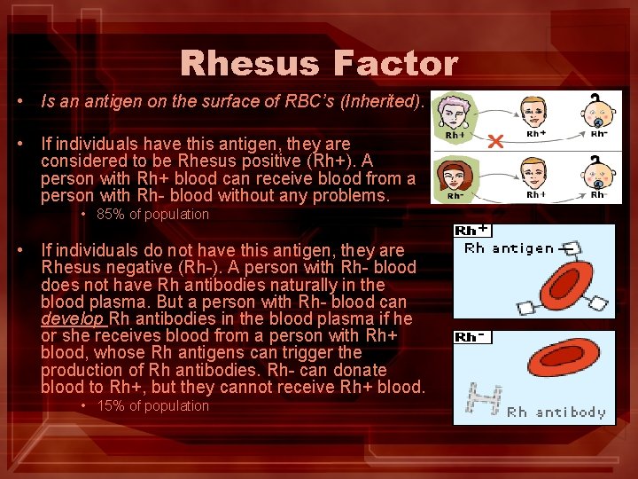 Rhesus Factor • Is an antigen on the surface of RBC’s (Inherited). • If Rhesus Factor • Is an antigen on the surface of RBC’s (Inherited). • If