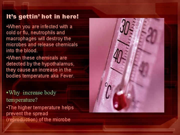 It’s gettin’ hot in here! • When you are infected with a cold or
