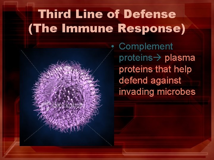 Third Line of Defense (The Immune Response) • Complement proteins plasma proteins that help Third Line of Defense (The Immune Response) • Complement proteins plasma proteins that help